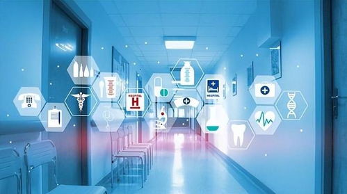 放開(kāi)絕非躺平 蘇州與上海引領(lǐng)智能科技發(fā)展新浪潮