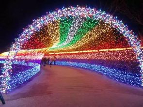 黃河岸邊不夜天 千萬(wàn)彩燈鑄就光影奇境，點(diǎn)亮舌尖上的文旅盛宴