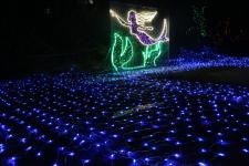 璀璨平?jīng)?三千萬(wàn)盞彩燈編織夢(mèng)幻光影世界