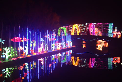 光影盛宴，奇幻啟航 揭秘武漢歡樂(lè)谷5000萬(wàn)盞花燈背后的匠心制造